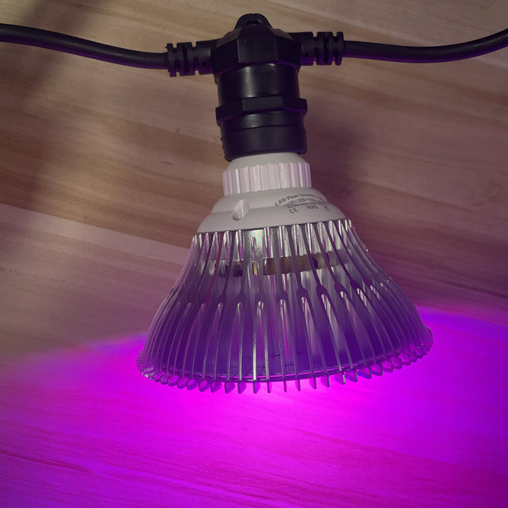 Светодиодная гирлянда 10 м, ко – обзор и цена Outdoor Lighting Manufacturers